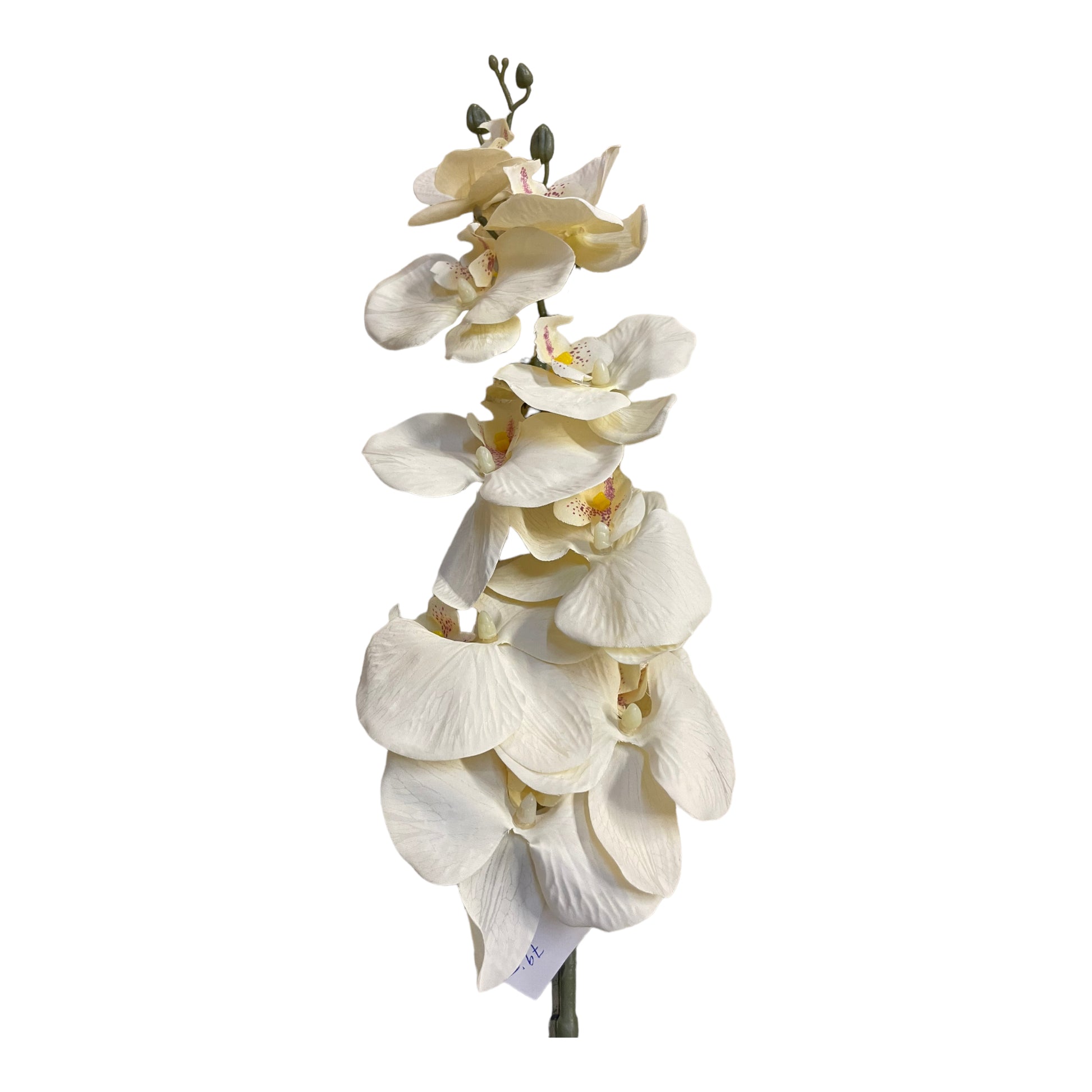 konstgjord orkidé blomma i kvist