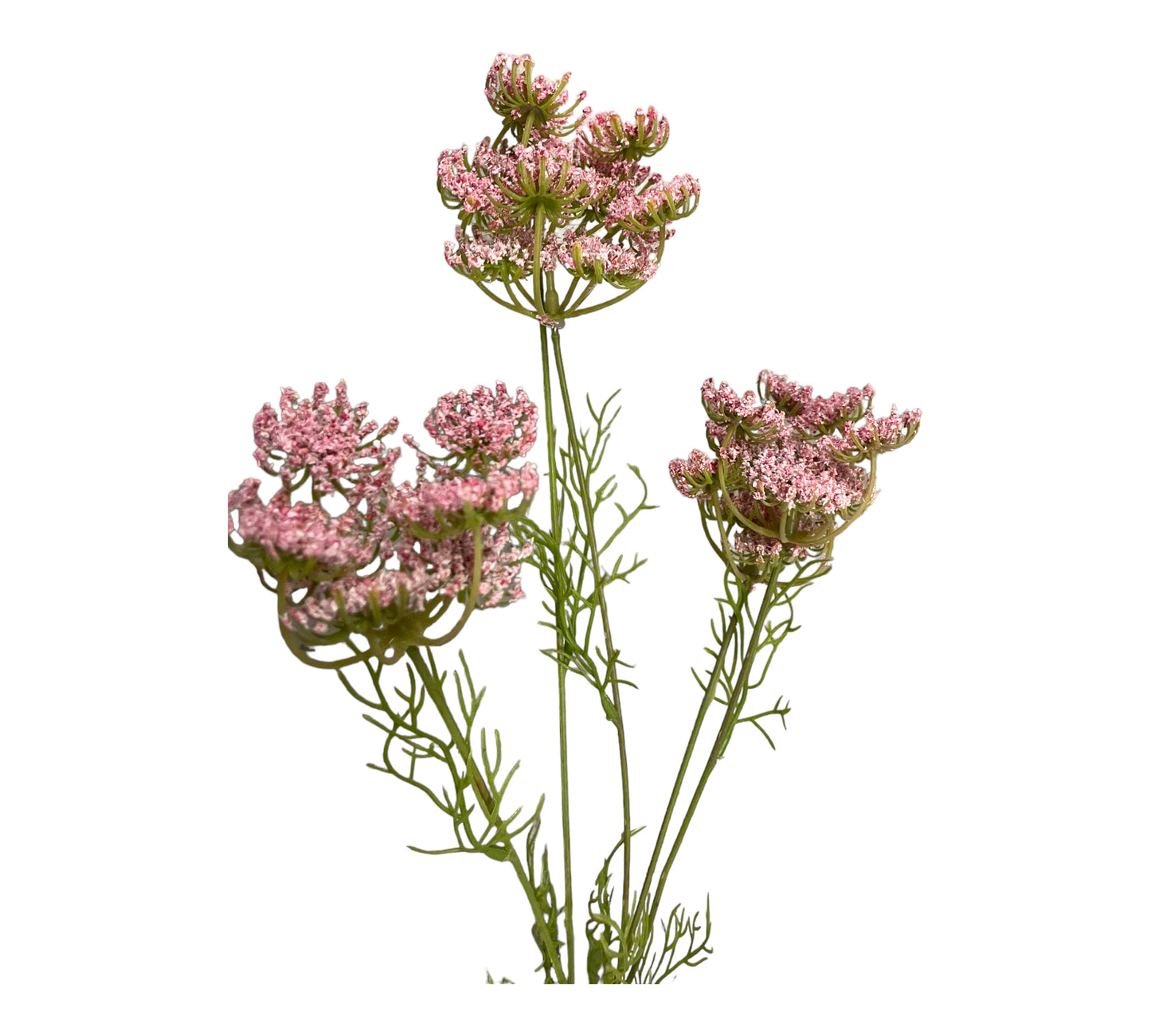 konstgjord hundkex rosa