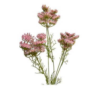 konstgjord hundkex rosa