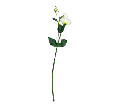 konstgjord Eustoma grandiflorum, Prärieklocka vit