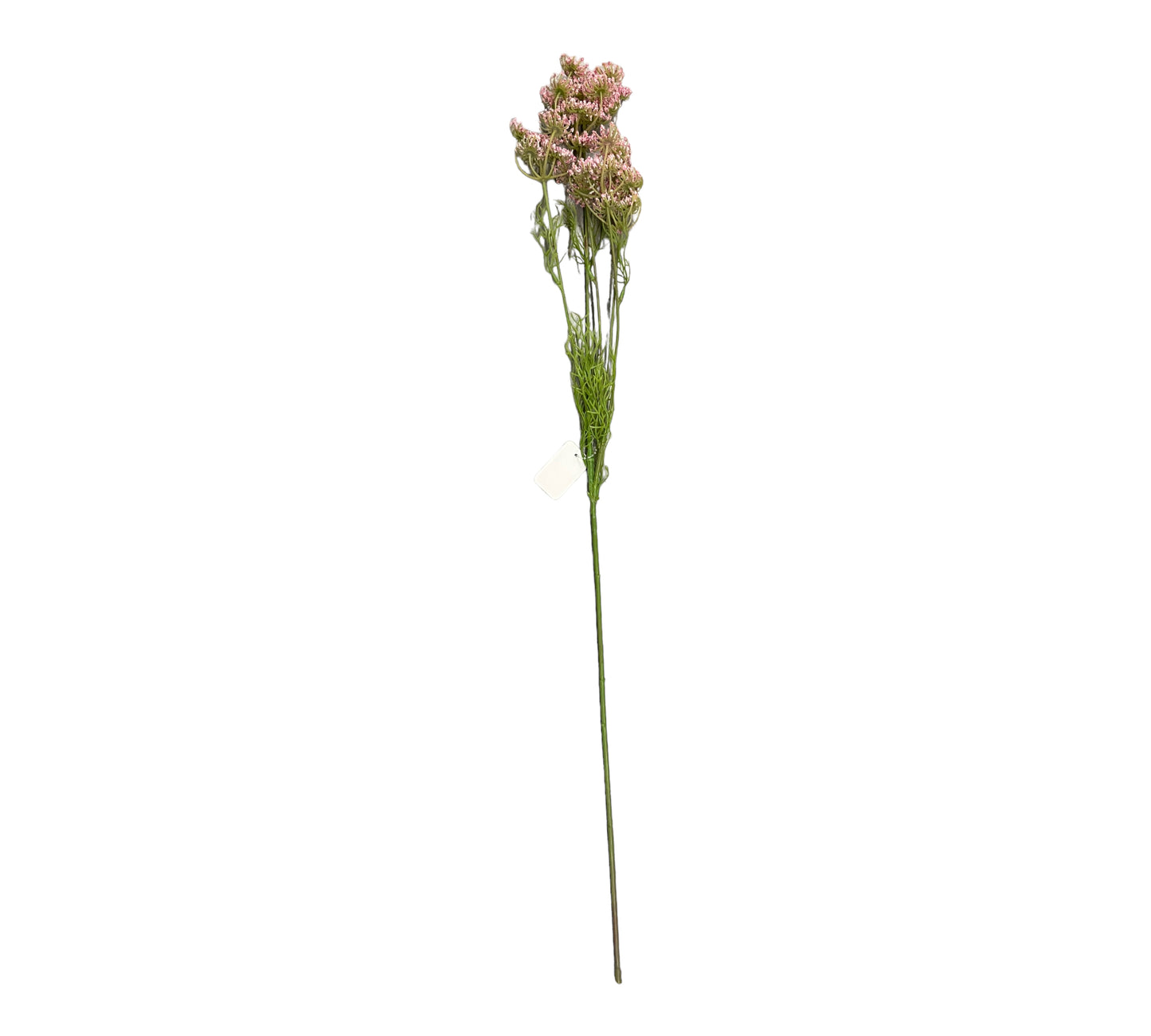 konstgjord hundkex rosa