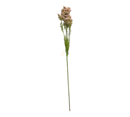 konstgjord hundkex rosa