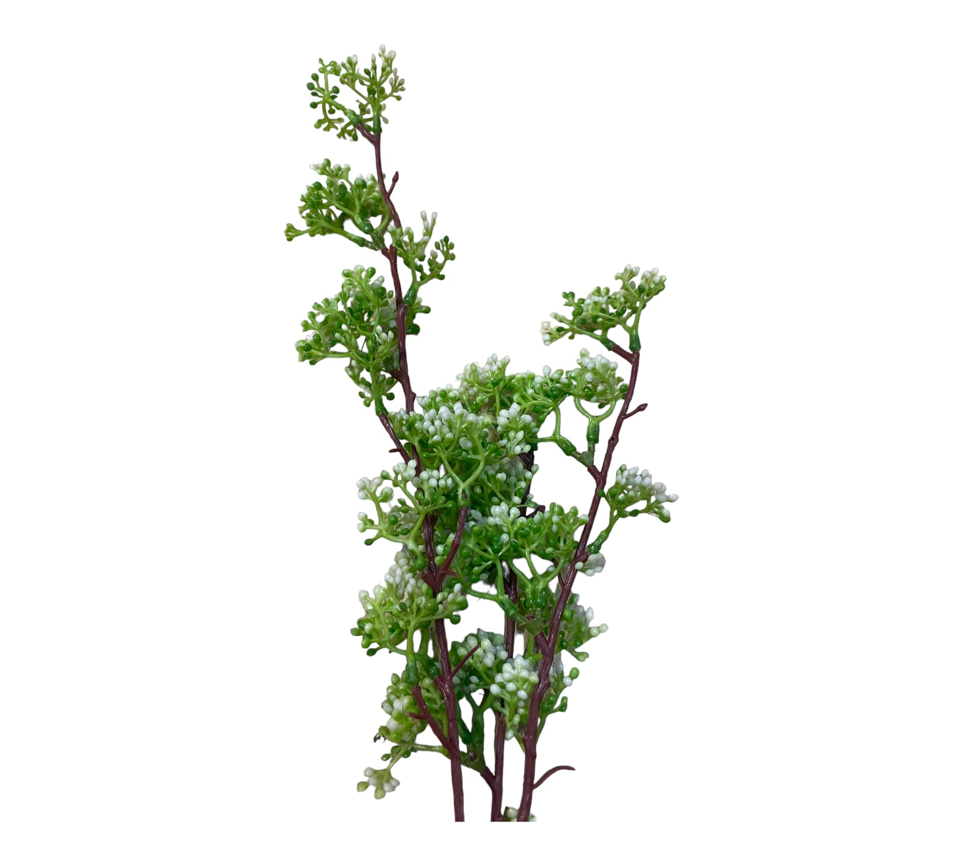 Konstväxt Bärkvist grön