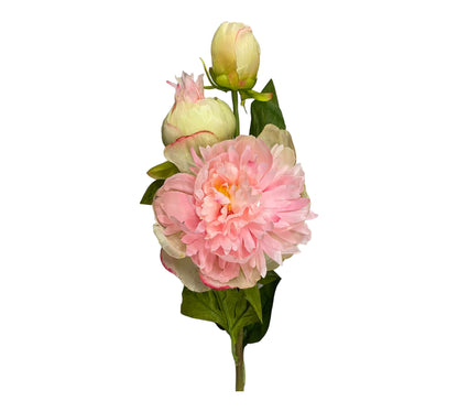 pioner konstgjord rosa