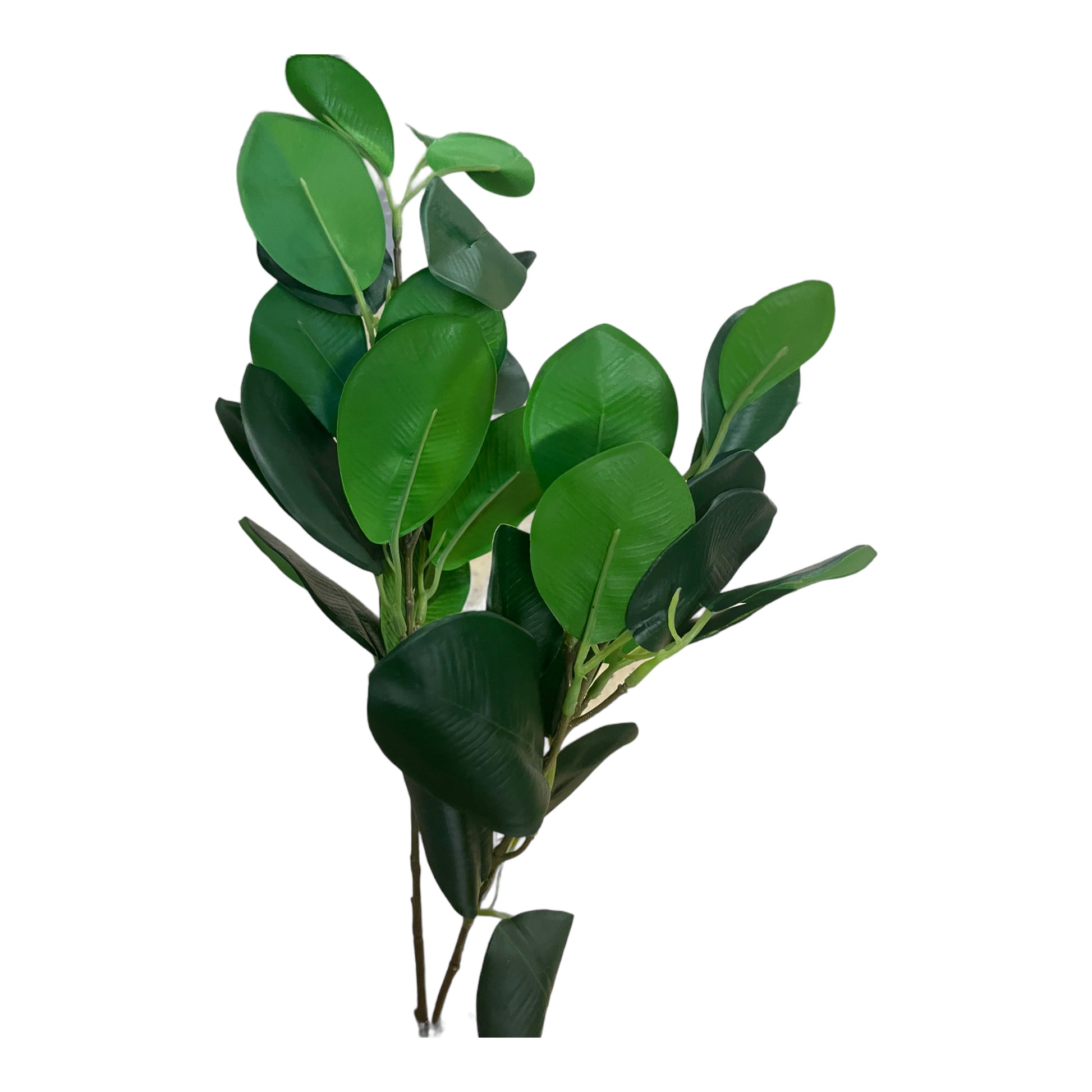 konstgjord Kamelia löv i kvist