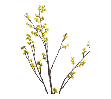 konstgjord. Forsythia kvist