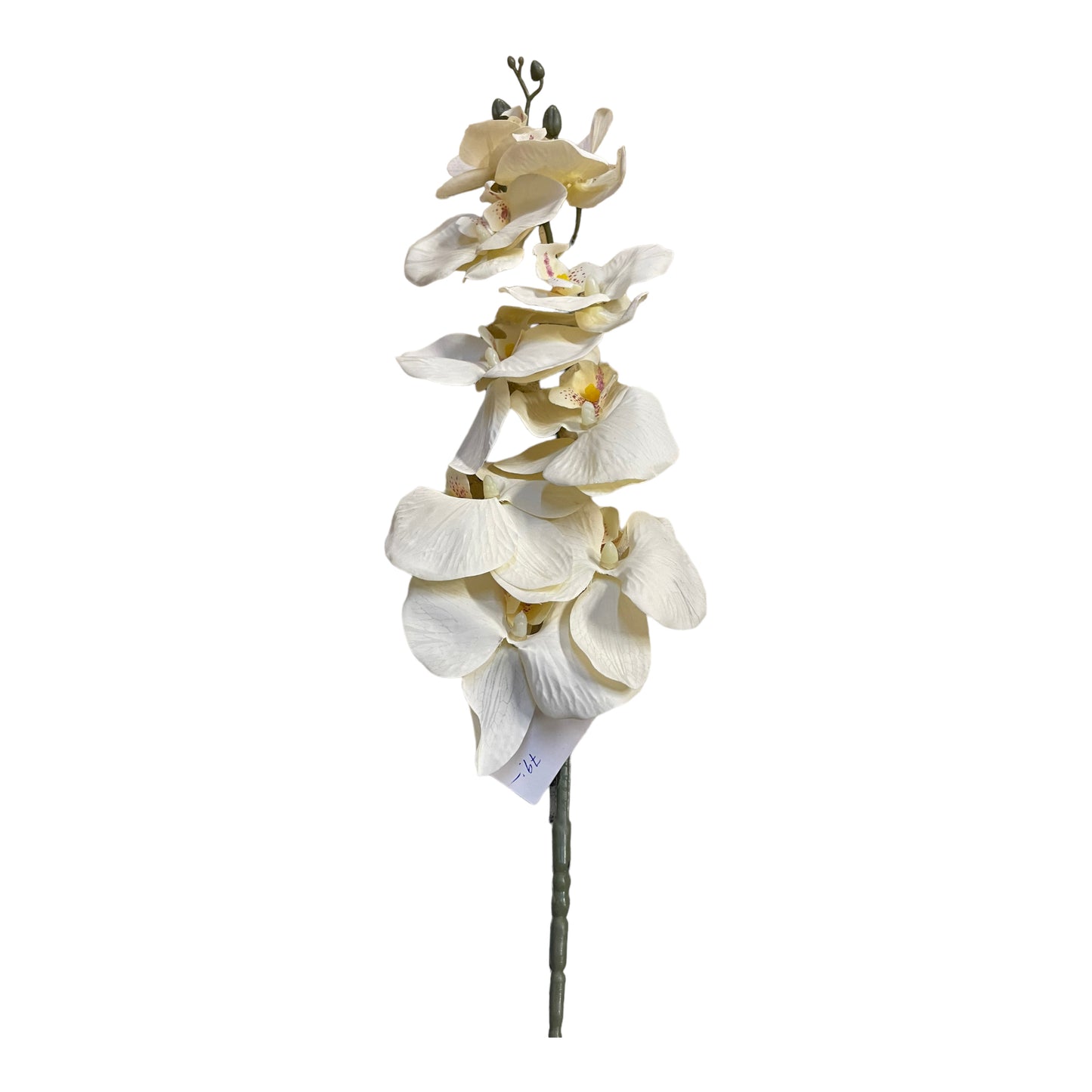 konstgjord orkidé blomma i kvist