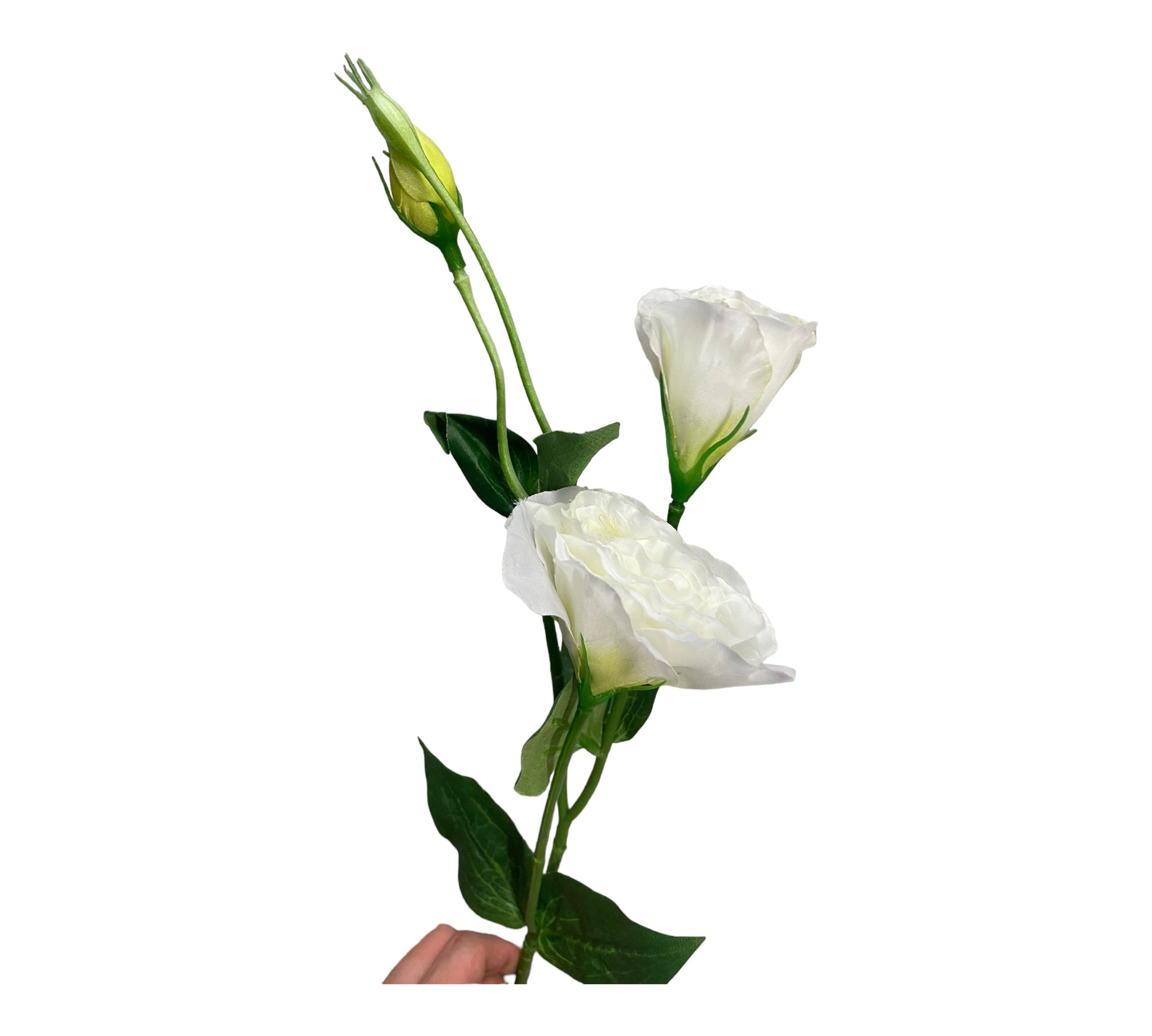 konstgjord Eustoma grandiflorum, Prärieklocka vit