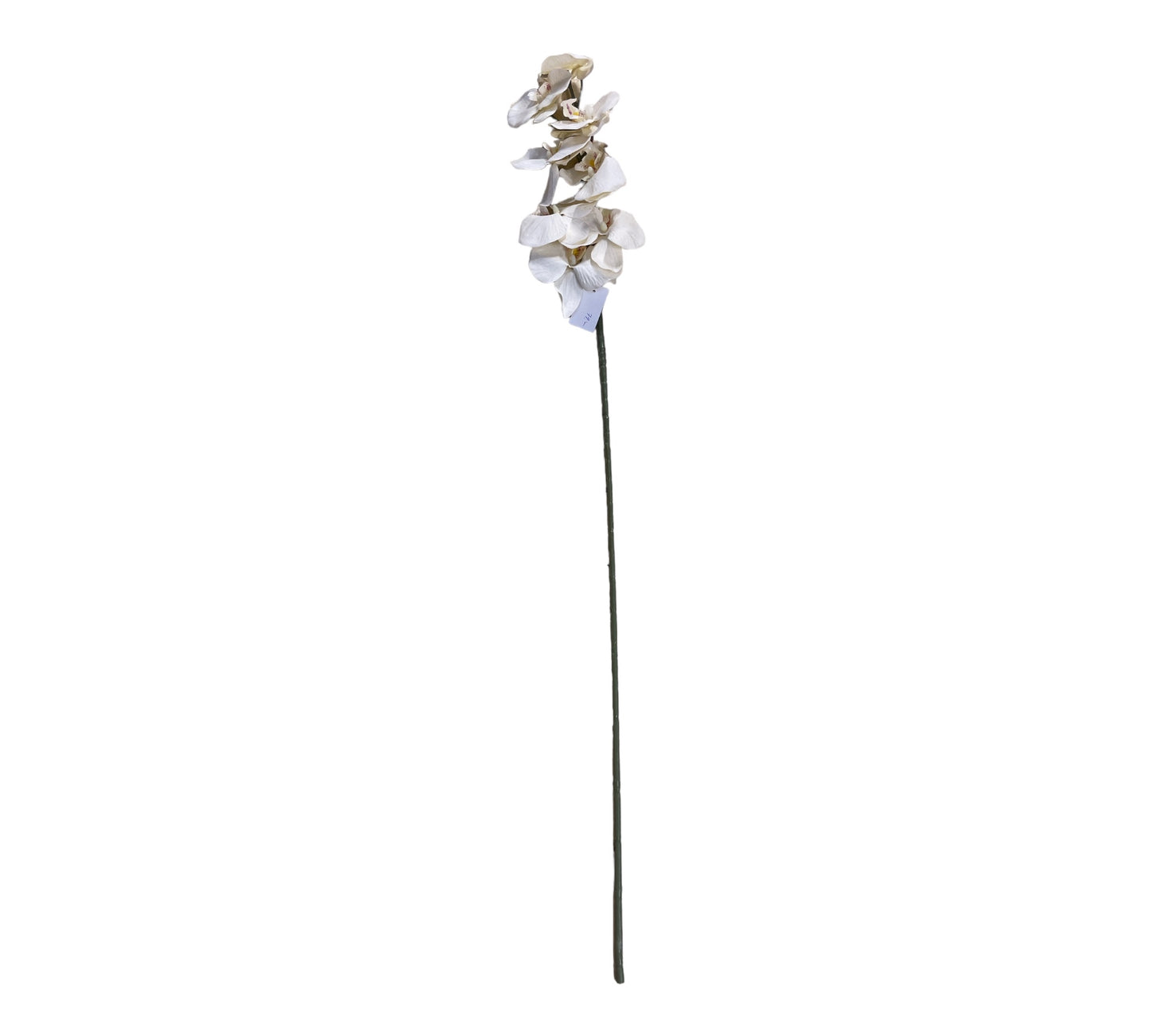 konstgjord orkidé blomma i kvist