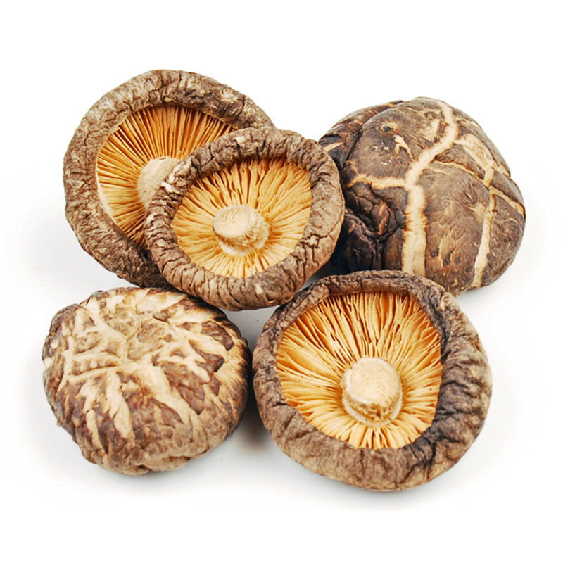 torkad shitake svamp