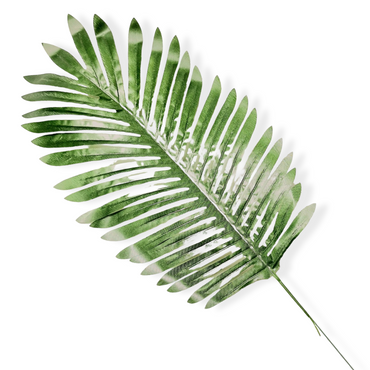 plastblomma