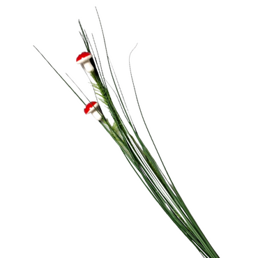 plastblomma