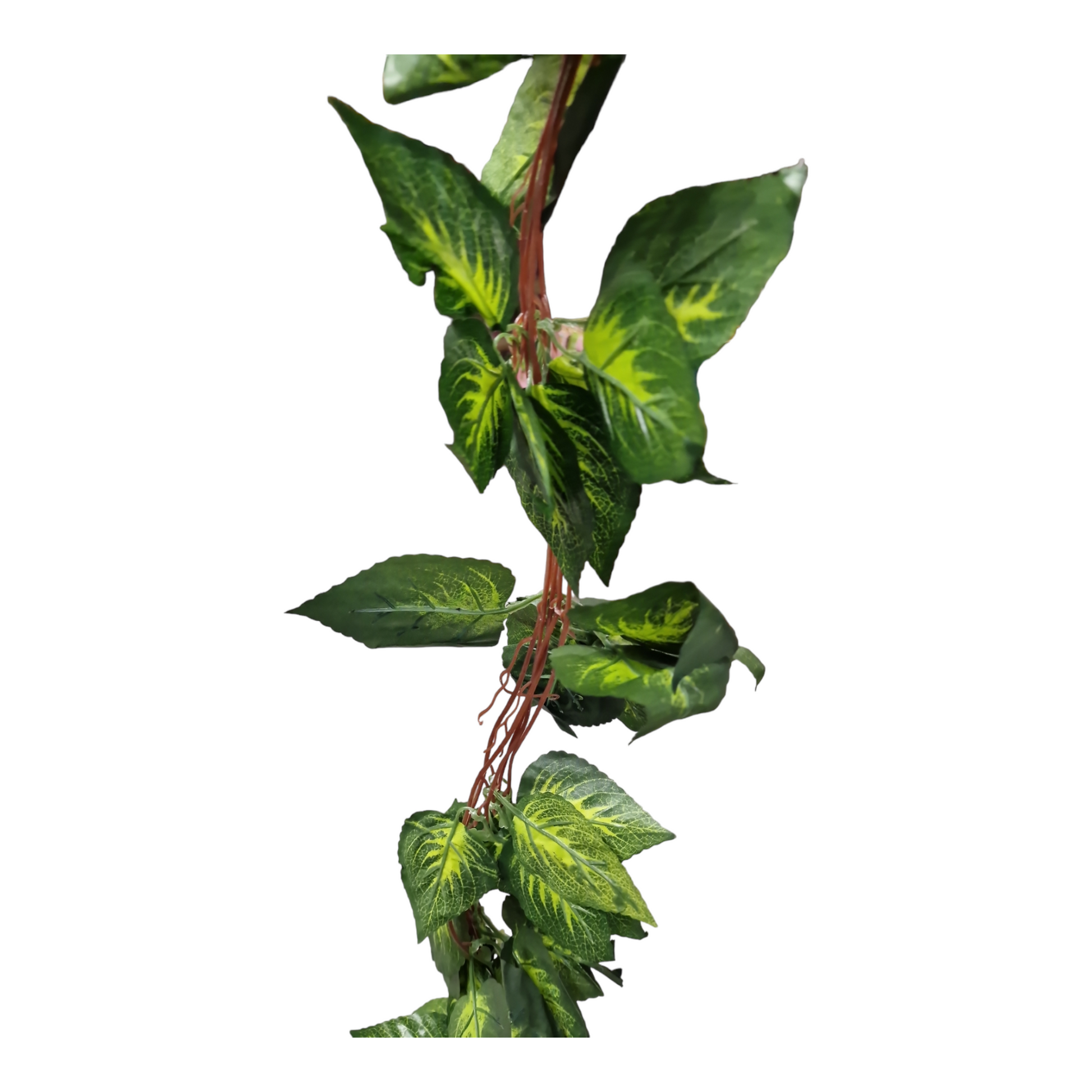 plastväxt girlang 5